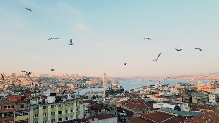 Sunset view of a mosque with bird flying