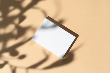 Blank white businesscard on beige background with creative floral shadow