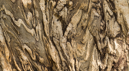 Abstract The pattern of the old brown wood surface texture in wallpaper background concept.