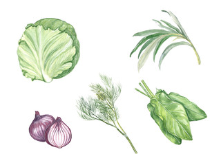 Watercolor illustration of a set of vegetables on a white background