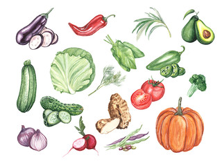 Watercolor illustration of a set of vegetables on a white background