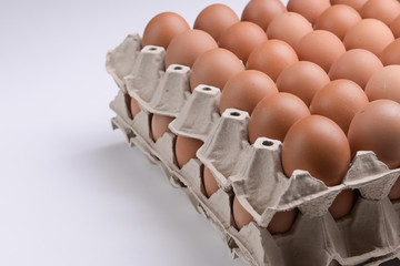 Obraz premium fresh organic egg in paper panel on white background