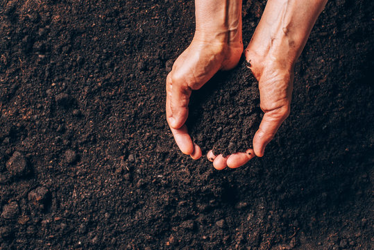 Dirty woman hands holding dark moist soil. Agriculture, organic gardening, planting or ecology concept. Environmental, earth day. Banner. Top view. Copy space. Farmer checking before sowing