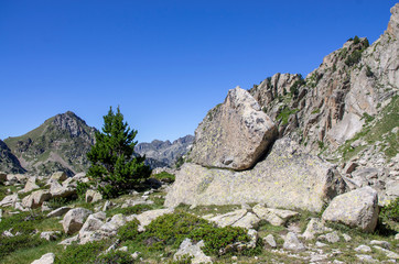 Rochers en montagne
