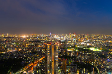 Fototapeta na wymiar 東京夜景　池袋から望む新宿方面
