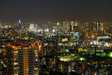 Fototapeta na wymiar 東京夜景　池袋から望む新宿方面　2019年5月
