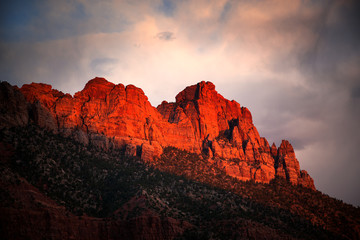 Zion at sunset