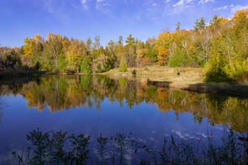 A little lake in the autumn