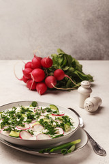 Summer okroshka with kefir. Green and red. White plate. With greens. Fresh radishes, onions and cucumbers