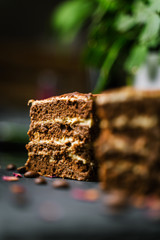 tiramisu , coffee cake 