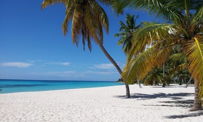 Saona Island, Dominican Republic