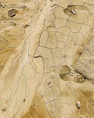 Beach desert