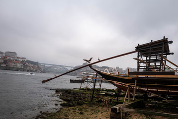 Seagulls perched on a boat mast above the Douro with the Dom-Luis bridge in the background in Porto.