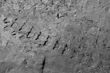 footprint of a bicycle tire on the ground