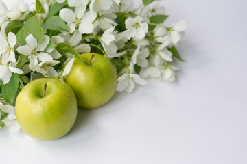 fresh ripe green apple with flowers on the white
