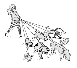 Girl walking a bunch of dogs vector illustration