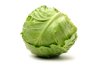 cabbage on a white background