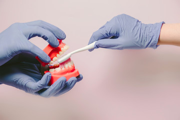 dental tools on a light background