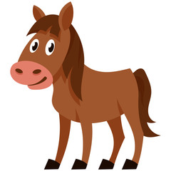 Standing funny foal. Farm animal in cartoon style.