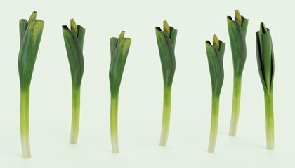 Realistic 3D Render of Leek Vegetable