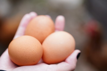 Close up of homemade eggs in woman's hand. Female holding three eggs outdoor.