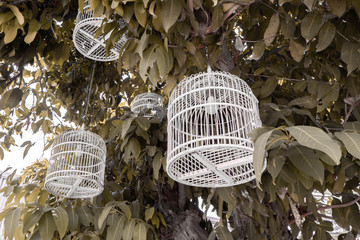 The cage is taken as a lamp with a natural atmosphere.