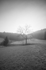 moody landscape in the hills of winterberg germany 