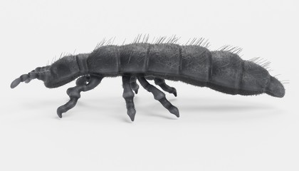 Realistic 3D Render of Snow Flea