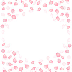 Vector bright cherry petals fall down. A lot of pink petals on white background. Nature horizontal backdrop.