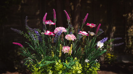 An arrangement of different flowers in the summer sun in an English Garden