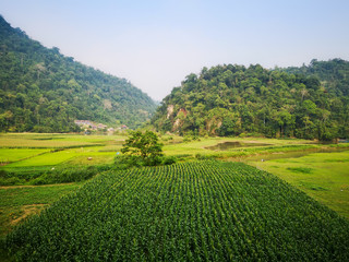 typical Vietnamese landscape in spring in Ba Be Lake