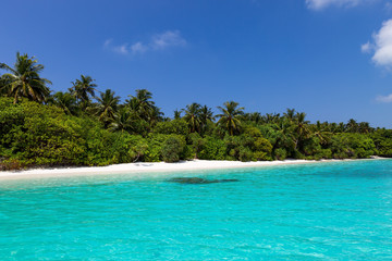 Sea with coconut palms island