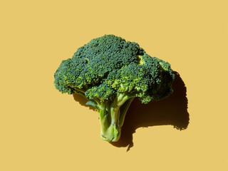 raw fresh broccoli on beige background top view. space for text, horizontal 