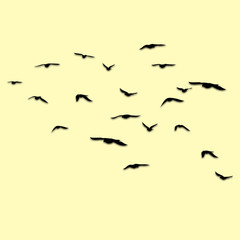 Flying birds silhouettes paper cut drop shadow on isolated background. Vector illustration. isolated bird flying. tattoo design. template for card, poster, product design.
