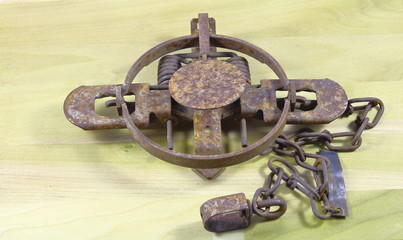 Coil spring Foothold Trap on textured wood background 
