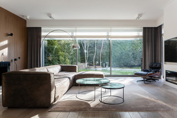 Elegant living room interior