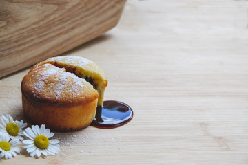 Macro picture of homemade muffin broken on two parts and from inside following chocolate glaze and white powder on the top on wooden background with small daisies as decoration and copy space concept 