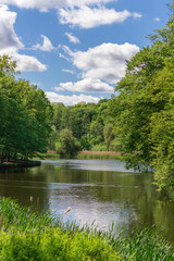 Beautiful lake with green leaves.