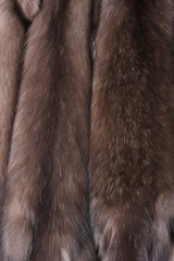Skins of natural fur sable.