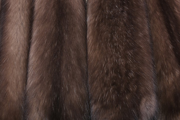 Skins of natural fur sable.