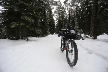 Naklejka premium A shot of my bikepacking rig on a winter ride through the Black Forest ( Germany ). 