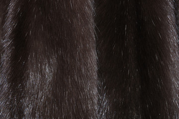 Skins of natural fur sable.