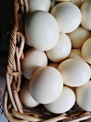 Ostrich eggs in wicker basket 