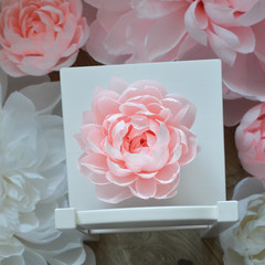 Little paper flowers peony  view from above