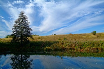 small river overgrown with grass and trees, Russia