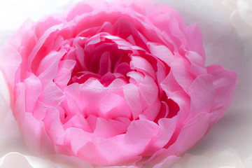 Big pink and white corrugated paper peony