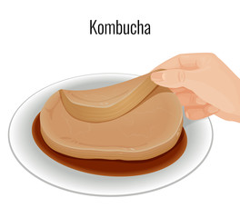 Vector illustration where a hand lifts a Kombucha from a plate
