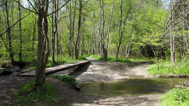 Belgique Wallonie bois eau environnement