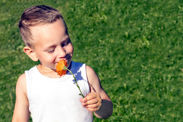 Happy 4 years old boy sniffing a flower on a green field. Close-up. Green background. Toned