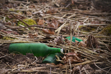 Discarded glass bottles lies in the grass. Glass bottle thrown in the forest. The problem of ecology and nature pollution.